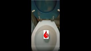 How to repair a leak toilet cistern waterleak leak toilettrouble [upl. by Vic612]