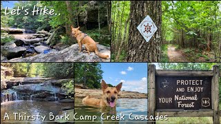 A Thirsty Bark Camp Creek Cascades  Laurel Lake  Kentucky  71524 [upl. by Harbert]