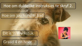 Hoe Om Jou Hond Te Bad [upl. by Demha]