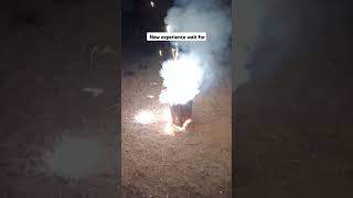 New express in Diwali 🎇 funny exitment explore viralvideo viralshort [upl. by Otilegna]