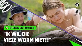 BIJT DE HAZELWORM ONZE PRESENTATOR 😱  Steken en Prikken  S4 4  NPO Zapp [upl. by Koppel168]