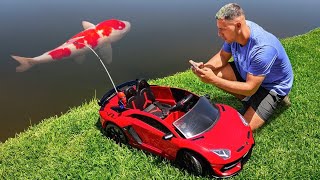 TOY LAMBORGHINI CATCHES COLORFUL FISH [upl. by Mcnully]