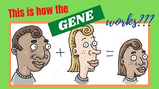 Heredity Inheritance and Variation Grade 9 Genetic Terms [upl. by Hallagan]