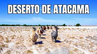 DESERTO DE ATACAMA  A Vida no Deserto Mais Seco do Mundo  Documentário [upl. by Debarath]