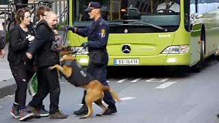 Police against anarchists in Oslo Norway [upl. by Niawd]