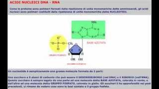 CORSO DI BIOLOGIA GENERALE  LEZIONE 19  NUCLEOTIDI E ACIDI NUCLEICI [upl. by Neevan]