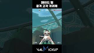 펄 페이드 공격 체크용 고각 각귀체 리콘 발로란트 [upl. by Oibesue142]