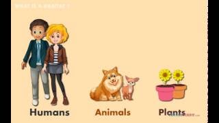 6 Habitats Where Animals amp Plants Live AMAZING Science for Kids [upl. by Olympia]