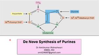 Purine Biosynthesis De Novo  Biochemistry  Molecular Biology [upl. by Sesiom]