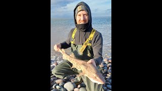 Baltic Fishing In The Bristol Channel seafishing seafishinguk [upl. by Hadsall841]