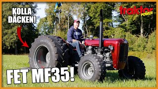 FET MF 35 – Mikaels glassätartraktor [upl. by Ihp871]