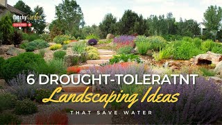 6 DroughtTolerant Landscaping Ideas That Save Water 🌾🍃🌷  Gardening Tips [upl. by Ursula]