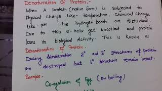 Denaturation of proteins [upl. by Seldan248]