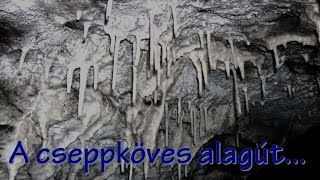 Cseppköves alagút  Salgótarjáni urbex túra 33 [upl. by Dorrej]