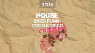 MIXTAPE 179 House Deep Funk Vocal Disco 03 2023 [upl. by Atniuqal859]