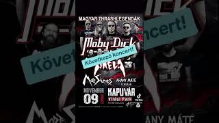 Next show 🤘😎 live metal heavymetal music thrash thrashmetal Kapuvár concert koncert akela [upl. by Leeban]