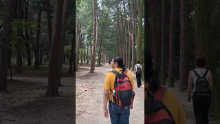 Trip to Nami Island 😍 fun nami southkorea travel shorts foryou [upl. by Aek60]