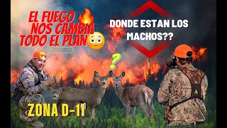 CAZERIA De Venado ZONA D11 2024 El FUEGO🔥 Nos Cambia Todo El Plan [upl. by Jill]