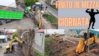 TAGLIO E CIPPATURA PIOPPI INTERI FRESACEPPI  CUTTING AND CHIPPING WHOLE POPLAR TREES [upl. by Ahsimot]