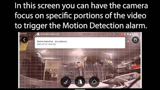 TDIPVICA MOTION DETECTION SETTINGS [upl. by Lyrac]