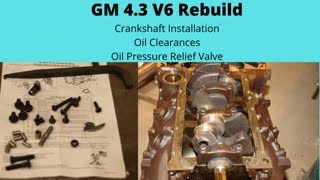 GM 43 Vortec V6 Rebuild Installing Crank [upl. by Yaner]