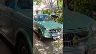 FIAT 1100 Millecento [upl. by Adnola]