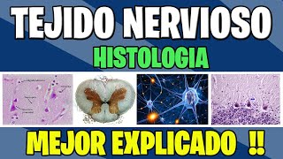 TEJIDO NERVIOSO COMPLETO  Histologia [upl. by Gine553]