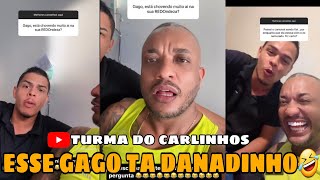 Verinha convida Everton Soares para sua casa para da concelhos 🤣 [upl. by Ubana]