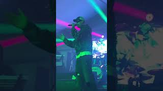 FIGURA  PUMA FEAT MANUEL KONCERT VIDEO [upl. by Lorou]