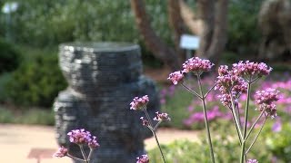 Gartenschau in Alzenau neigt sich dem Ende entgegen [upl. by Raynor]