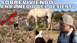 Los Caballos Salvajes Del Viejo Oeste [upl. by Zolner]