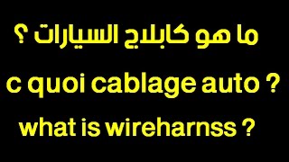 ما هو الكابلاج و اين نجده ؟ شرح مبسط و رائع جدا cablage automobile au maroc [upl. by Eellehs]