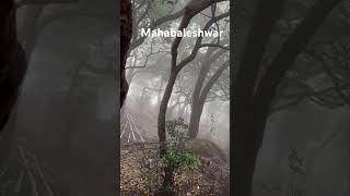 Mahabaleshwar weather in dense forest points at Mahabaleshwar [upl. by Wells]