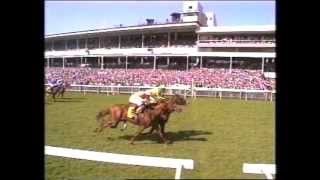 1994 Madagans 2000 Guineas Stakes [upl. by Celka]