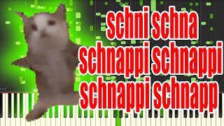 Schni schna schnappi but its MIDI Auditory Illusion  Schnappi schnappi schnapp Piano sound [upl. by Ojaras]