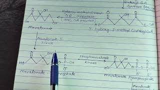 Biosynthesis of citral Acyclic mono terpenoid citral chemistry with instructors [upl. by Suter]