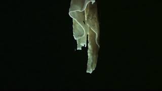 Whats the difference between stalactites and stalagmites [upl. by Analahs]