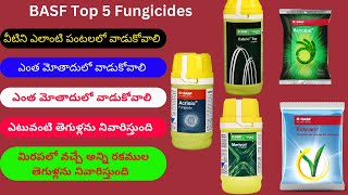 BASF Top 5 Fungicides  Acrisio  Cabrio top  Acrobat  Merivon  Polyram [upl. by Erv]