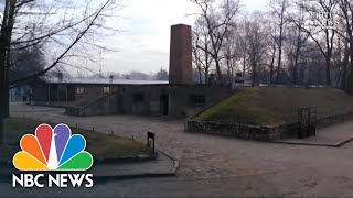 Auschwitz Survivors Return To Death Camp 75 Years Later‌  NBC Nightly News [upl. by Braca]