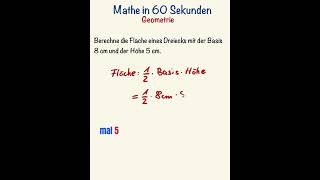 Fläche Dreieck berechnen leicht gemacht Mathe lernen mit Mathetipps 🧮 [upl. by Attiuqehs]