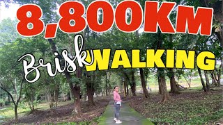 Walking The Best Exercise to Lose Weight  The Sisti’s Vlog [upl. by Okier]