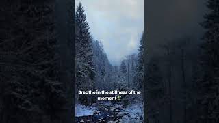 Snowfall amp Silence ❄️  30Second Winter Meditation relaxing relax [upl. by Tonie167]