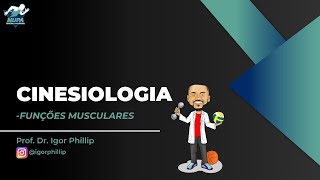 FUNÇÕES MUSCULARES  Cinesiologia e Biomecânica [upl. by Parish]