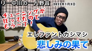 悲しみの果て エレファントカシマシ チューニングが狂ってたのでもう一丁！ リー中川の一人野音 202313 [upl. by Adnek963]