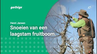 Laagstam fruitbomen snoeien appelboom [upl. by Grania]