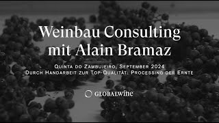 WeinbauConsulting mit Alain Bramaz Quinta do Zambujeiro – Verarbeitung der Ernte [upl. by Llehcear]