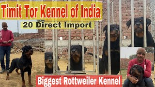 Biggest Rottweiler Kennel in India 😱😱 [upl. by Filipe514]