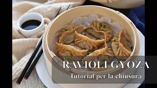 Gyoza ravioli a vapore  Tutorial della chiusura [upl. by Aitnic465]