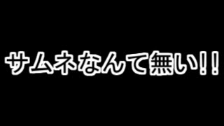 支援会話収集プレイ 12【ファイアーエムブレム 蒼炎の軌跡】 [upl. by Abrams]