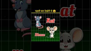 Mouse And Rat Are Not Same shorts ytshorts facts amazingfacts [upl. by Payson]